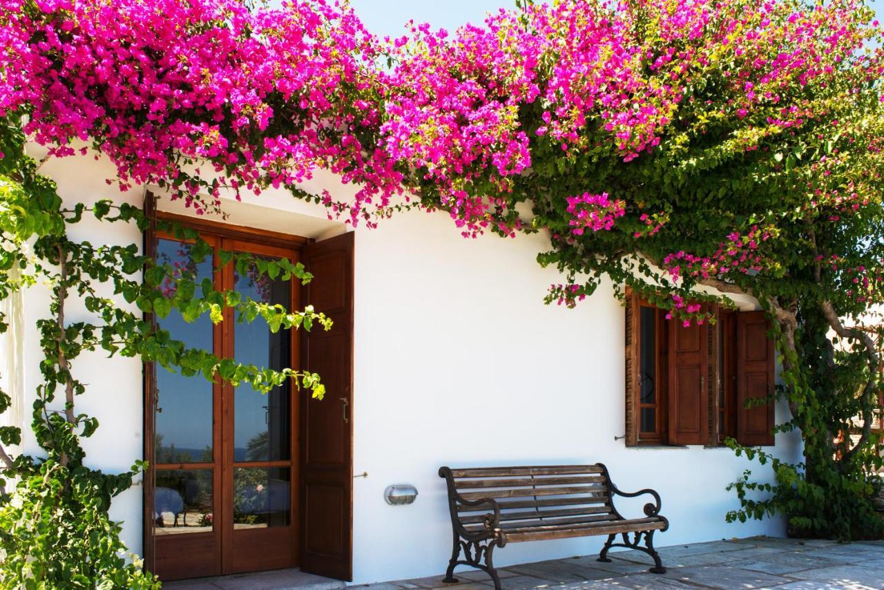 Villa Celestina, Great For Privacy And Seclusion Chrisopigi  Luaran gambar